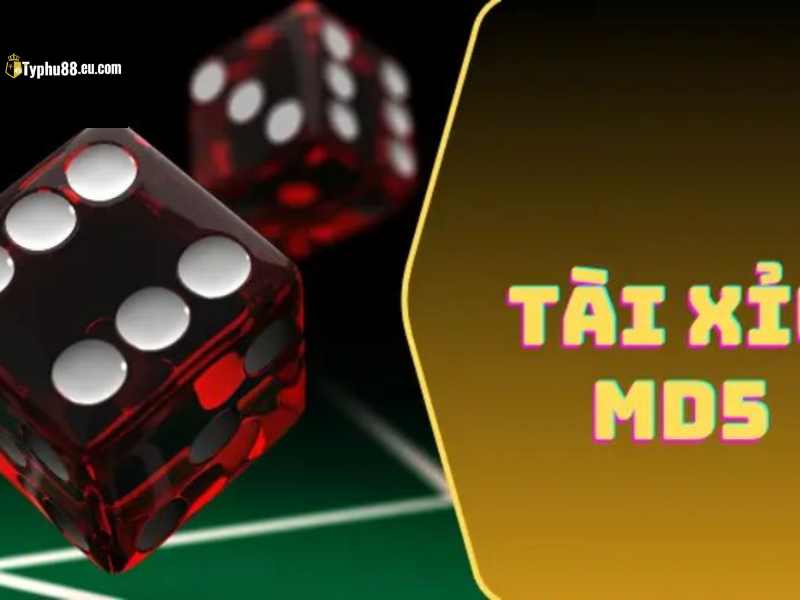 Hai viên xúc xắc cạnh dòng chữ Tài Xỉu MD5.