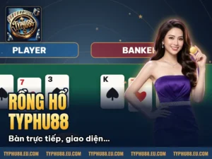 Hình minh họa bài viết: Hướng Dẫn Cách Chơi Rồng Hổ Typhu88 Nhanh Thắng Nhất Cho Tân Thủ